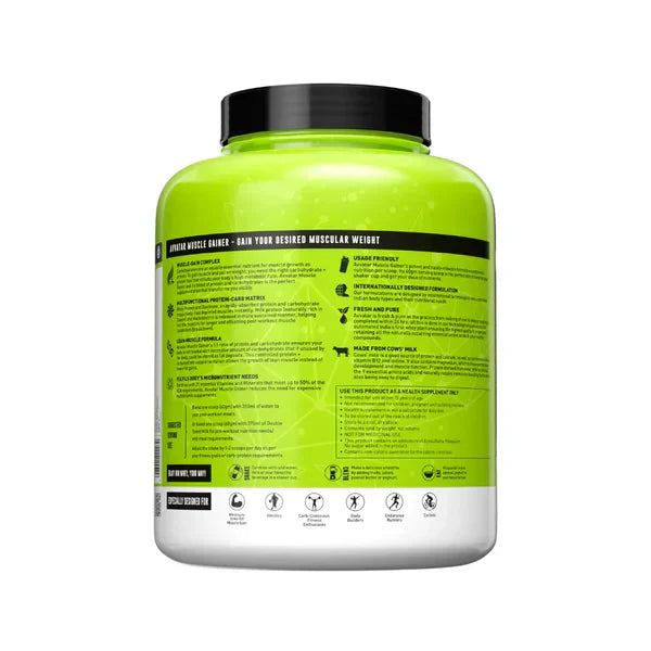 Avvatar Muscle Gainer