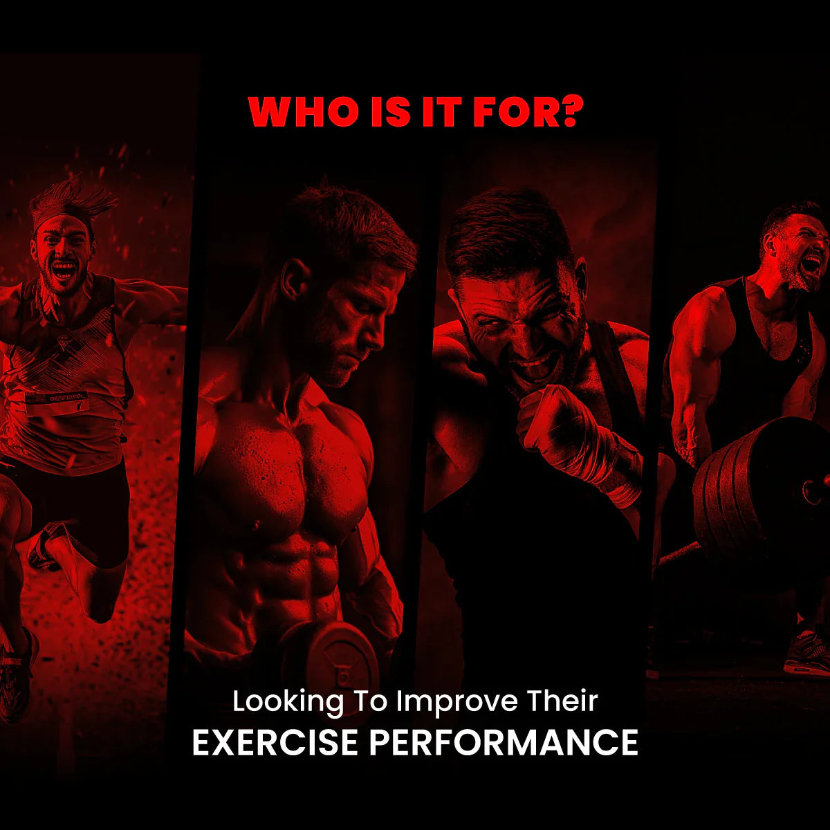 Big Muscles Karnage Pre Workout