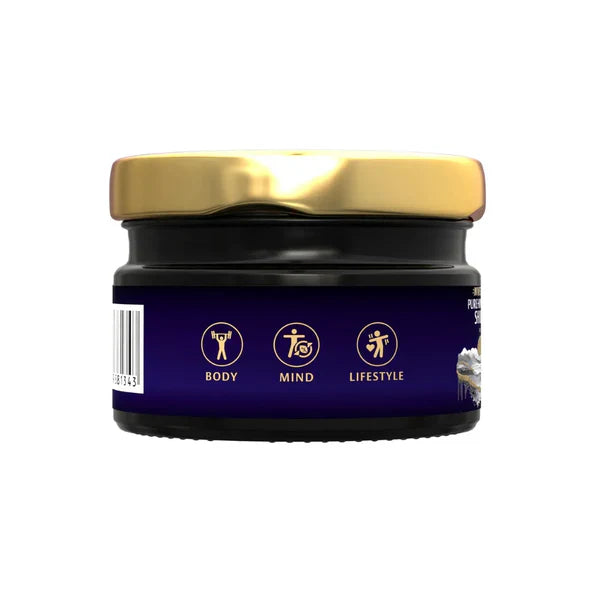 Big Muscles Pure Himalayan Shilajit Resin