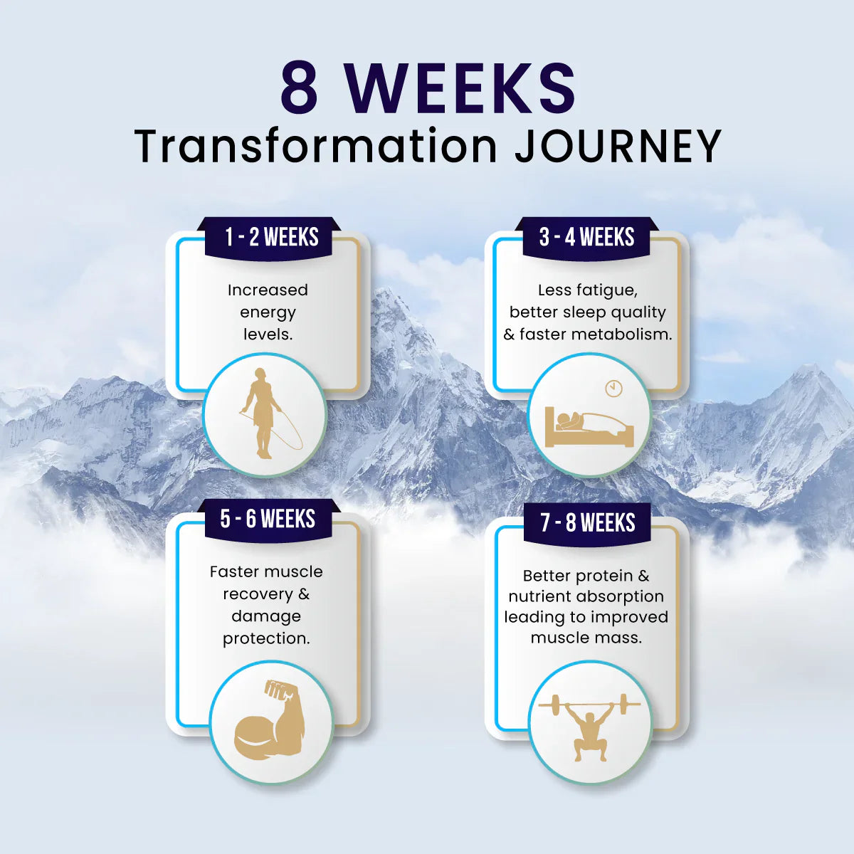 Big Muscles Pure Himalayan Shilajit Resin