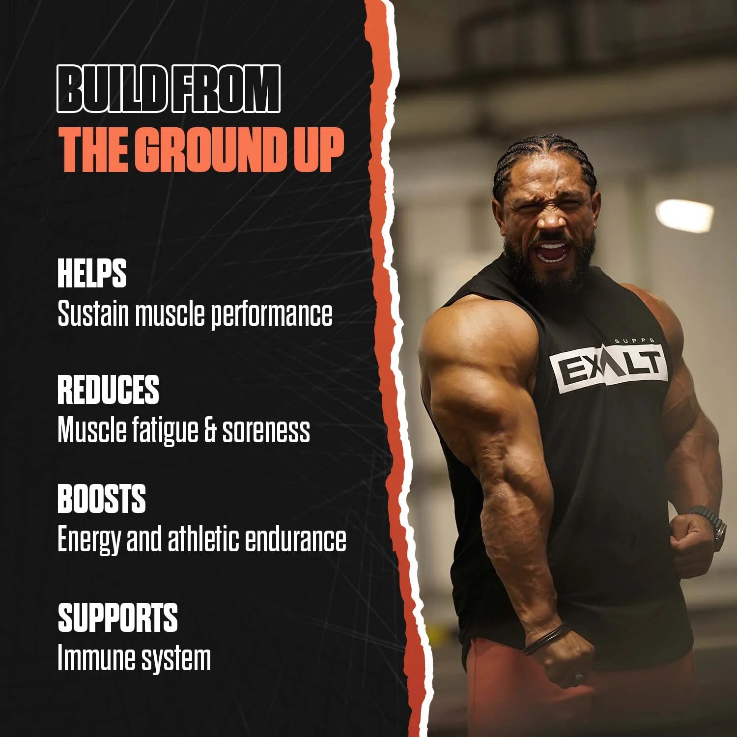 The Heal L Glutamine