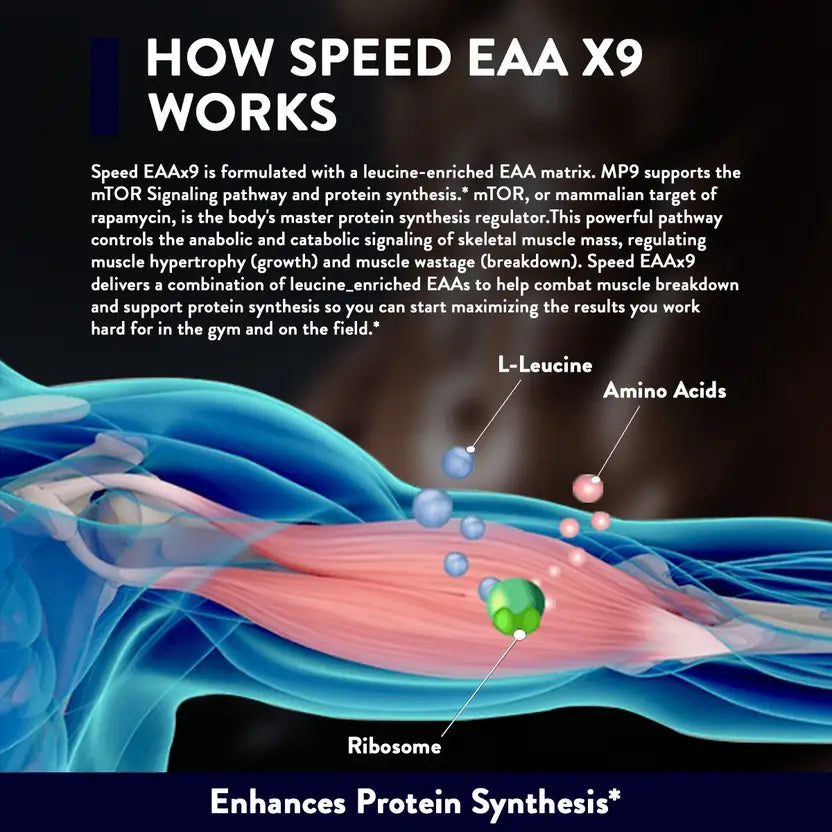 BigMuscles Speed EAAx9